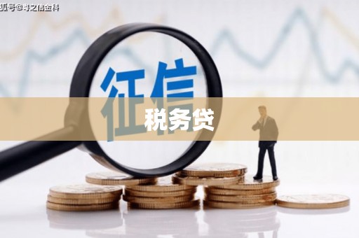 施甸税务贷