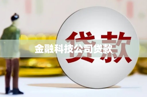 施甸金融科技公司贷款