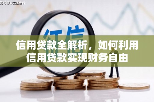 施甸信用贷款全解析，如何利用信用贷款实现财务自由