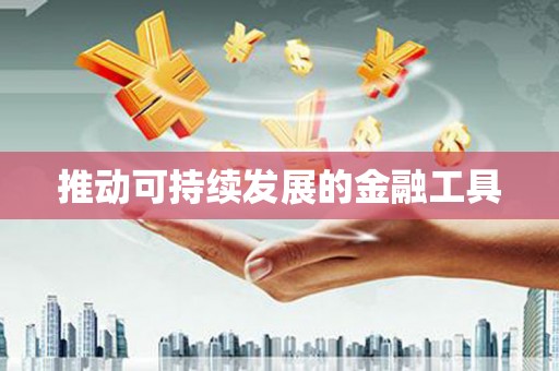 施甸推动可持续发展的金融工具