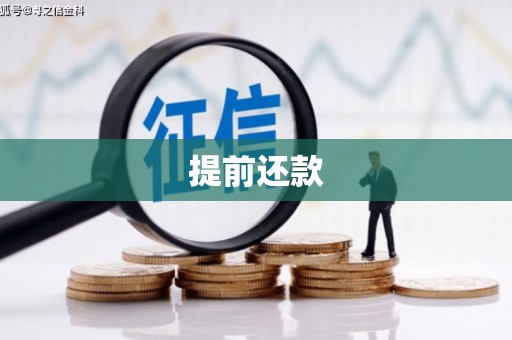 施甸提前还款