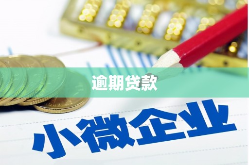 施甸逾期贷款