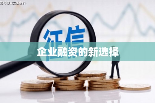 施甸企业融资的新选择