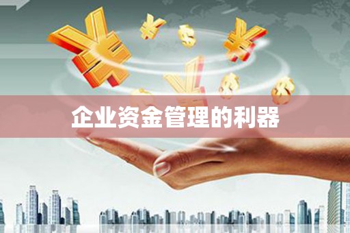 施甸企业资金管理的利器