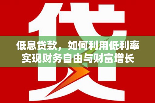 施甸低息贷款，如何利用低利率实现财务自由与财富增长