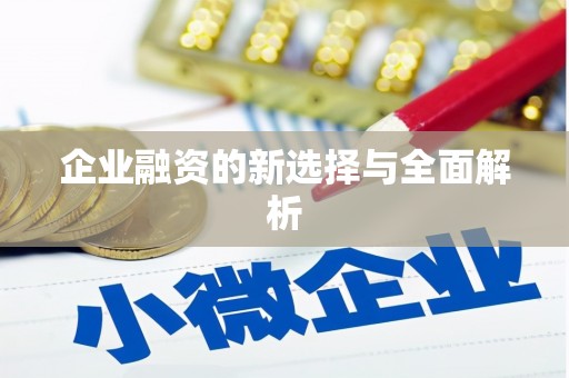 施甸企业融资的新选择与全面解析