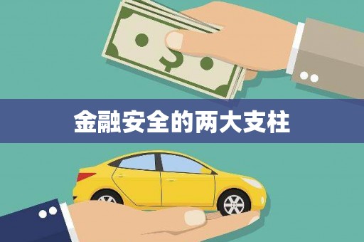 施甸金融安全的两大支柱