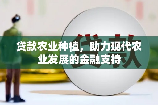 施甸贷款农业种植，助力现代农业发展的金融支持