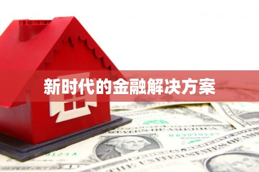 施甸新时代的金融解决方案