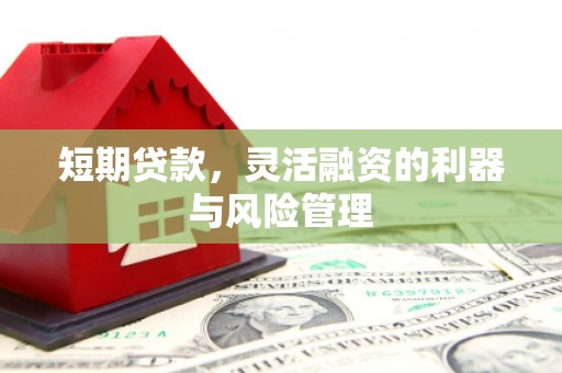 施甸短期贷款，灵活融资的利器与风险管理