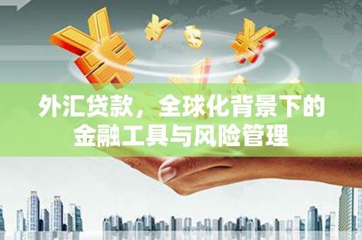 施甸外汇贷款，全球化背景下的金融工具与风险管理