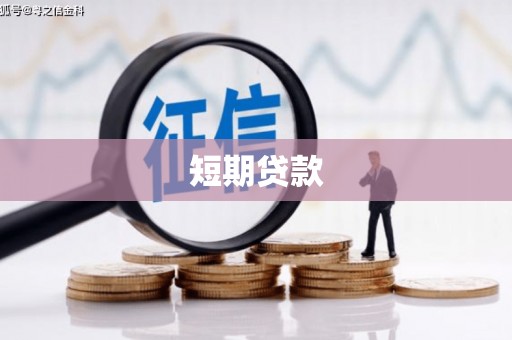 施甸短期贷款