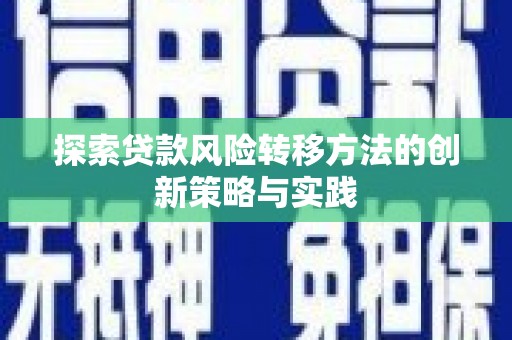 施甸探索贷款风险转移方法的创新策略与实践