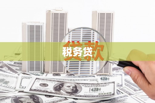 施甸税务贷