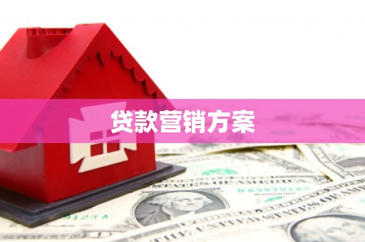 施甸贷款营销方案